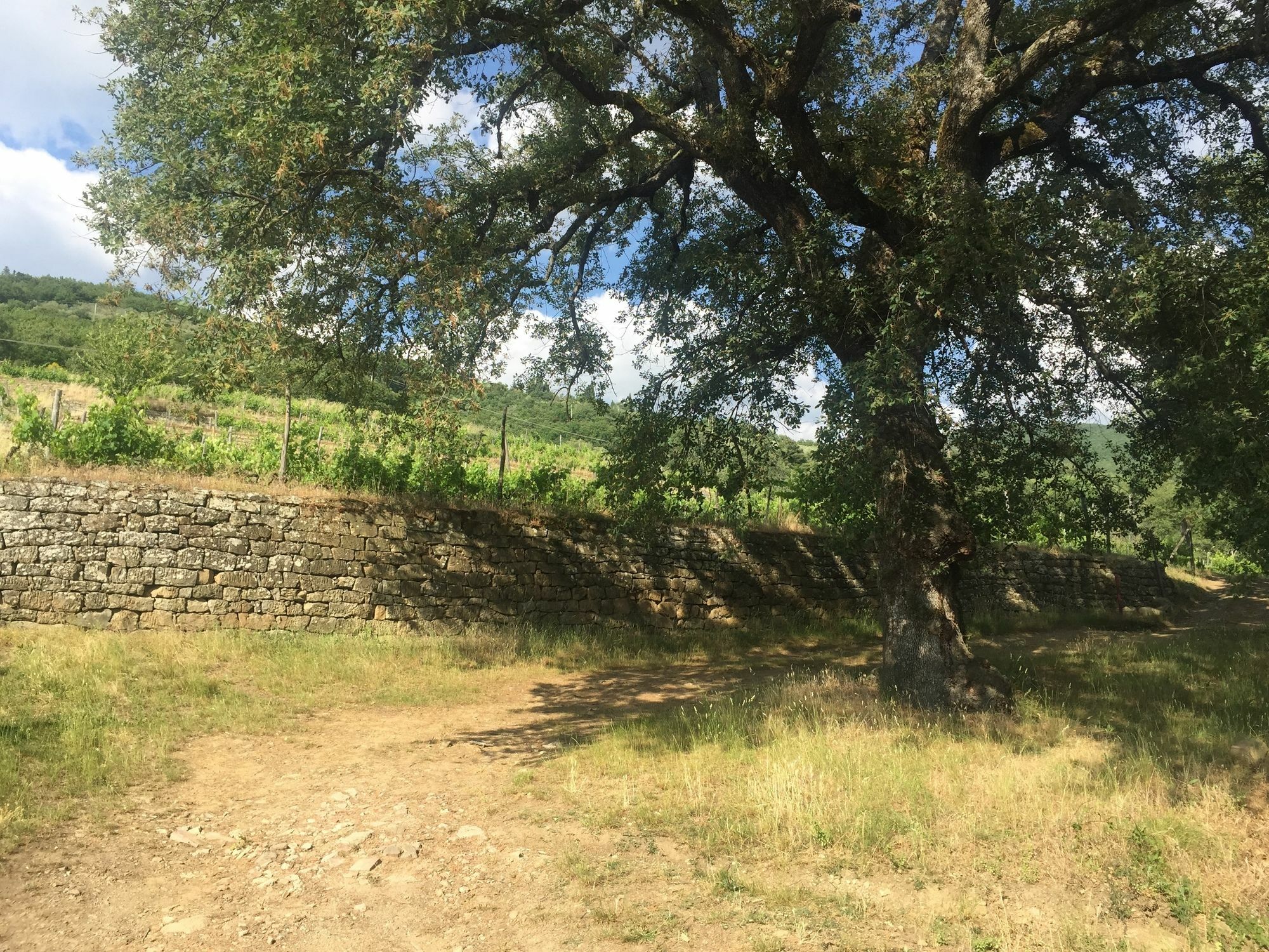 Villa La Grotta San Giustino Valdarno Exterior photo